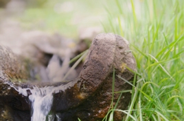 Почему вода из природных источников полезна для здоровья