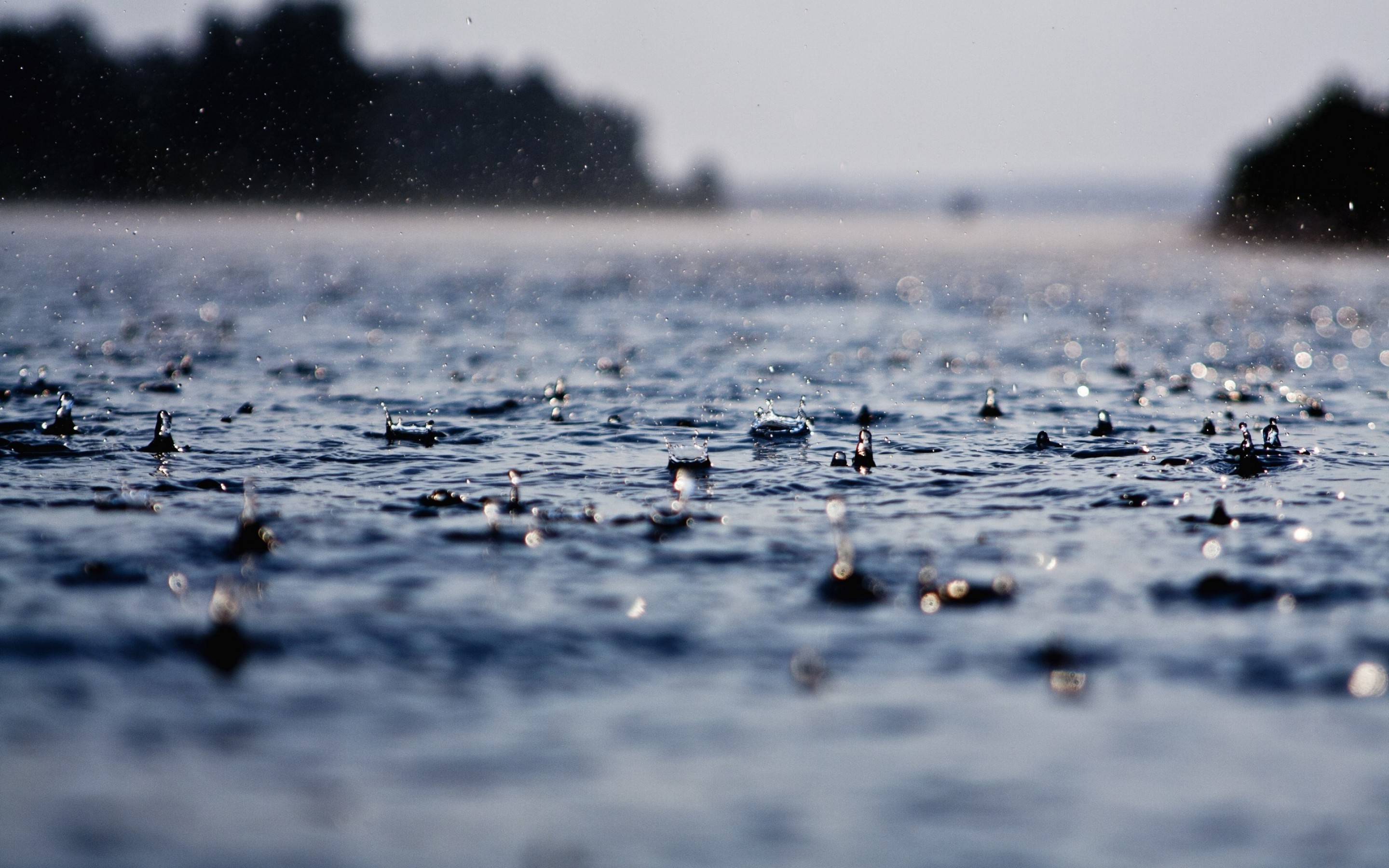 Вредна ли дождевая вода?